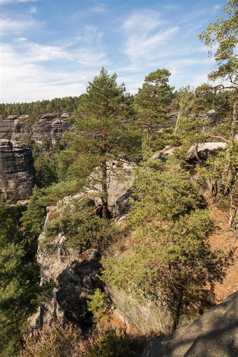 Oficiální informační web a ubytování české švýcarsko a saské švýcarsko. Narodnipark Ceske Svycarsko Stock Foto - Afbeelding ...