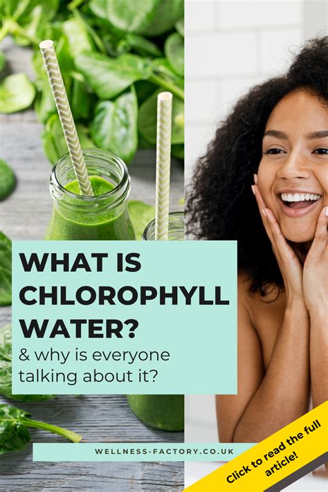 Core Nutrition Liquid Chlorophyll Drops Wellness Factory Liquid Chlorophyll Benefits