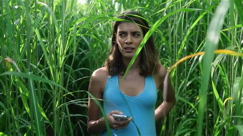 In The Tall Grass Review Netflixs Stephen King Adaptation Is A Mess