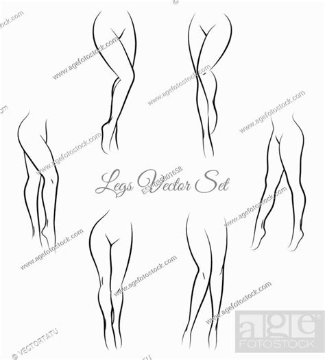 Woman Legs Vector Female Legs Hand Drawn Sketch Sexy Legs For Packaging And Labels Stock