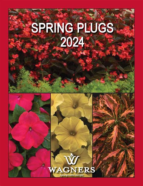 Flower Plugs Wholesale Plant Plugs Wagners Greenhouses