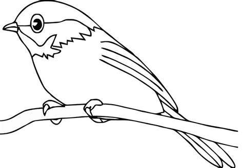 Burung yang sering dijadikan gambar sketsa adalah burung garuda, burung elang, burung merpati, burung hantu dan lainnya. Sketsa Gambar Burung Hantu,Merak,Garuda,Elang | gambarcoloring