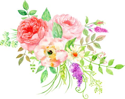Pin by Abhi kumar on Floral Collections | Floral painting, Clipart flower, Floral watercolor