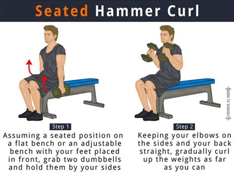 Seated Dumbbell Hammer Curls How To Build Bigger Arms