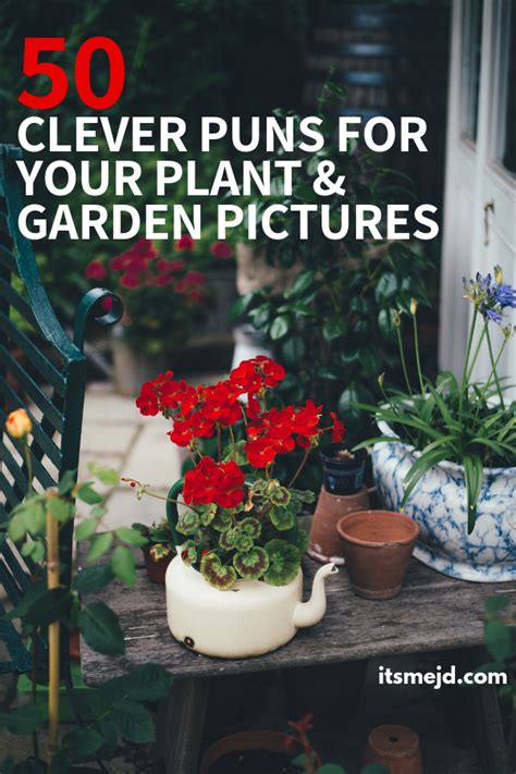 50 Funny Plant And Garden Puns That Are Too Clever For Their Own Good