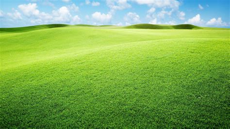 Beautiful Grass Field In Clouds Blue Sky Background Hd Nature