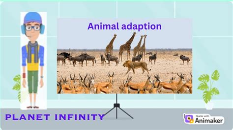 How Animals Adapt Their Environment Youtube