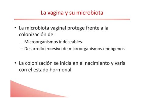 Recurrencias De La Infecciones Vaginales El ProbiÓtico Clave Para Su