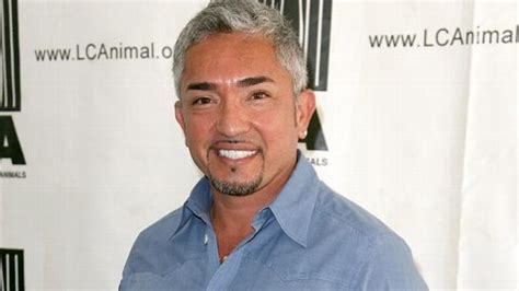 See all formats and editions hide other be the pack leader: 'Dog Whisperer' Cesar Millan Reveals Suicide Attempt - ABC ...