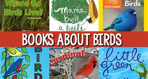 20 Best Bird Books For Preschool Kids To Read About