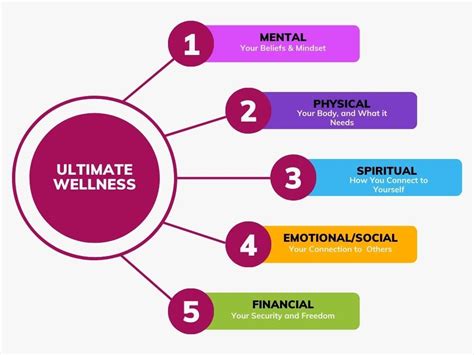 From Stress To Strength Your Guide To Mastering The 5 Pillars Of