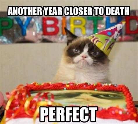 LOOK Grumpy Cat Celebrates First Birthday Grumpy Cat Birthday Grumpy Cat Grumpy Cat Humor