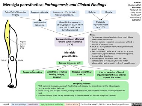Meralgia Paresthetica Pathogenesis And Clinical Findings Compression