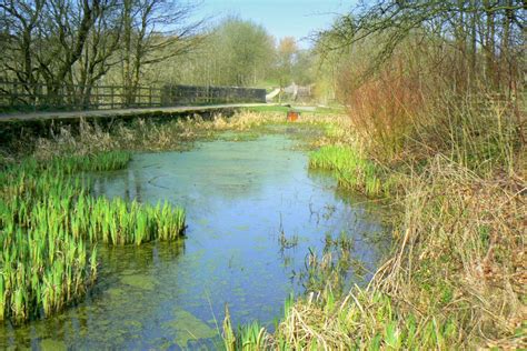 Pictures Of Daisy Nook Country Park