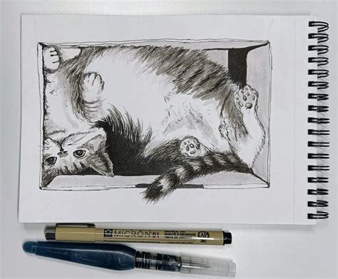 Amazing Cat In A Box Drawing Tutorial Unleash Your Artistic Skills