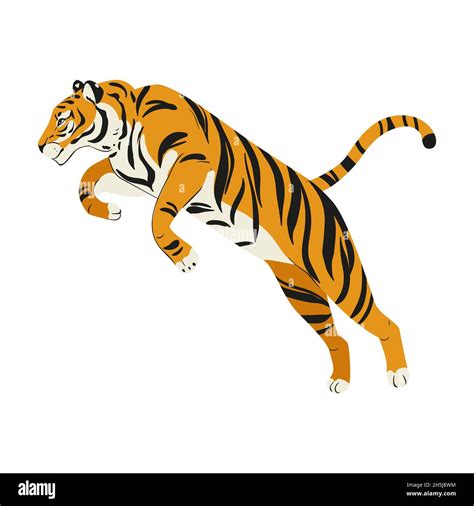 Side View Siberian Tiger Jumping Cut Out Stock Images Pictures Alamy