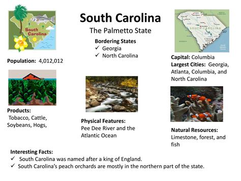 Ppt South Carolina The Palmetto State Powerpoint Presentation Free