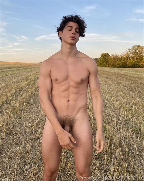 Pierre Bouvier Nude Photo