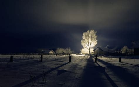Dottech Beautiful Winter Landscape At Night With A Shining Tree Amazing Photo Of The Day