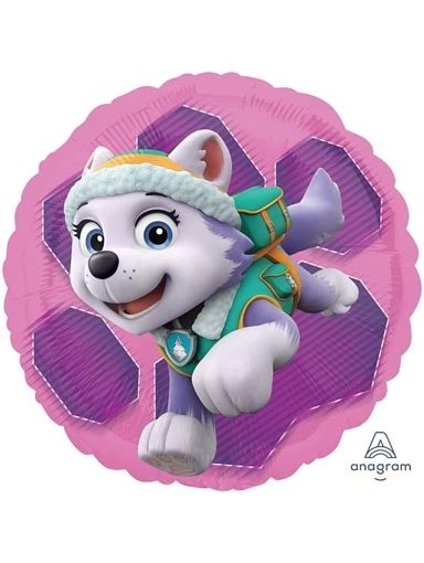 17 Paw Patrol Slye And Everest Balloon 5ct Minimum A34088 Mf82588