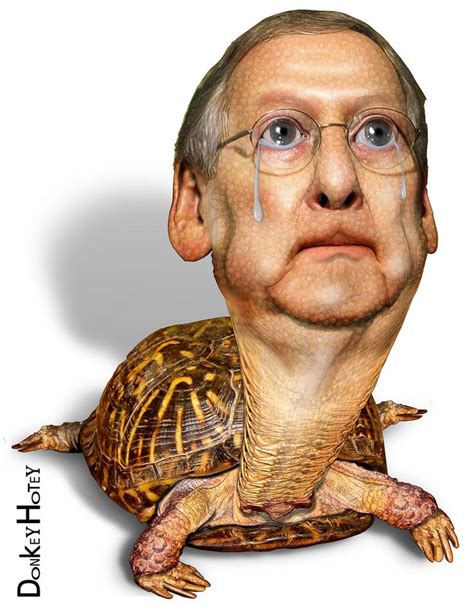 Senate minority leader mitch mcconnell 'looks and fights like a turtle,' and he hopes that image will. 17 Best images about Caricatures - Political on Pinterest ...