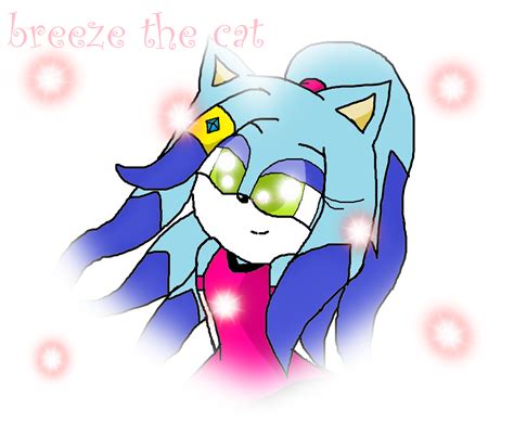 Beautiful Breeze Sonic Fan Characters Photo 25159746 Fanpop