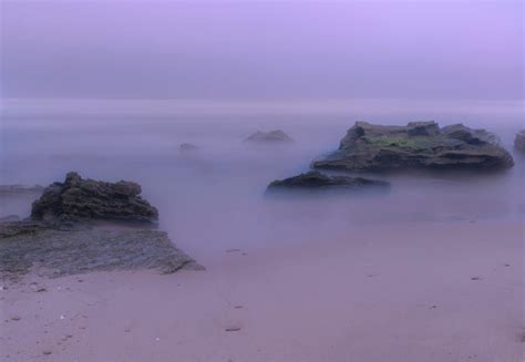 Free Picture Fog Landscape Sea Mist Seascape Beach Ocean Water