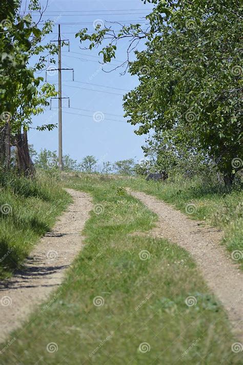 View Of A Country Dirt Road Overgrown With Grass And Trees Stock Photo
