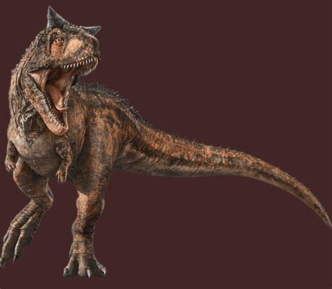 Carnotaurus Wiki ⚪jurassic Park Amino⚪ Amino