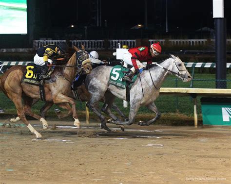 Kentucky Derby Pedigree Profile Silver Prospector Horse