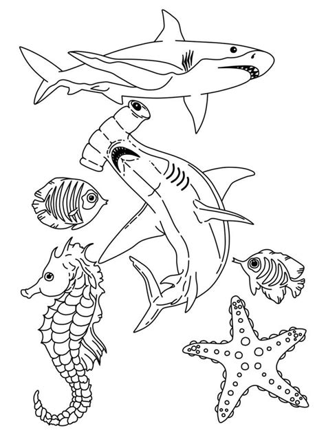 Realistic Sea Life Coloring Pages