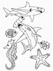Sea Life Coloring Pages For Kids - Coloring Home