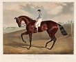 'Bay Middleton' Winner of the Derby in 1836 - John Frederick Herring Sr ...