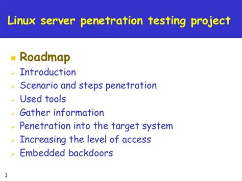 Linux Server Penetration Testing Project