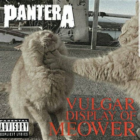 Make your own images with our meme generator or animated gif maker. Caturday | Artist humor, Memes, Heavy metal music