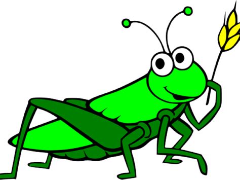 Clip Freeuse Download Grasshopper Clipart Cartoon Grasshopper Clipart