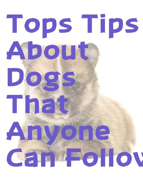 Read This Article To Get Answers To Your Questions About Dogs Pets