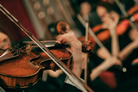 Students Community Invited To Join New String Orchestra Clc News