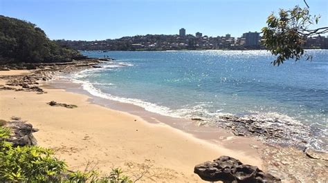 Reef Beach In Sydneys North Harbour Sydney Uncovered