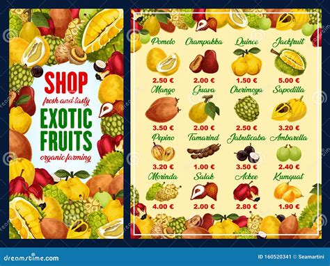 Exotic Fruits And Tropical Berries With Prices Stock Vector