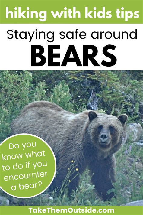 Pin On Bear Aware