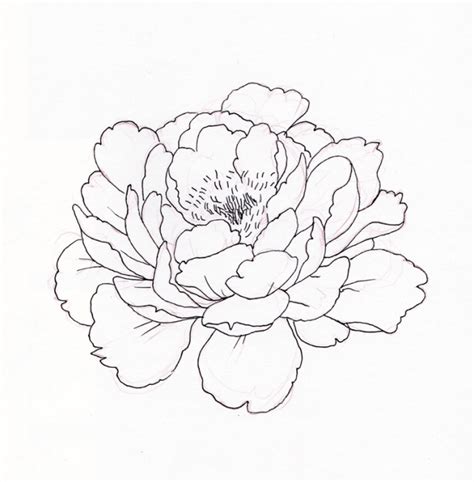 Top 102 Wallpaper Peony Flower Tattoo Outline Stunning