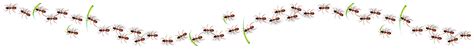 We have been providing extermination services for area residents since 1991 and have earned a reputation for our reliable and. Pest Control - Saint Cloud, FL - Sunrise Pest Services, LLC
