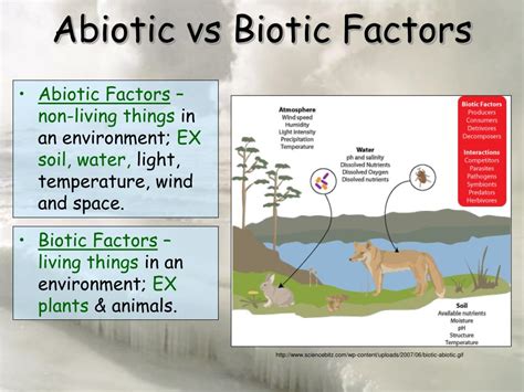 Diagram Venn Diagram Of Biotic And Abiotic Factors Wiring Diagram