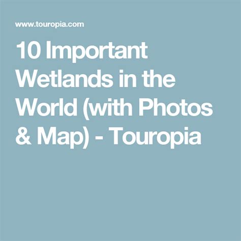 10 Important Wetlands In The World With Photos And Map Touropia