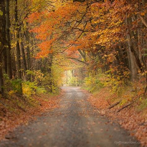 Photo By Jeffmauritzen Autumn Along A Quiet Rural Road In Beautiful