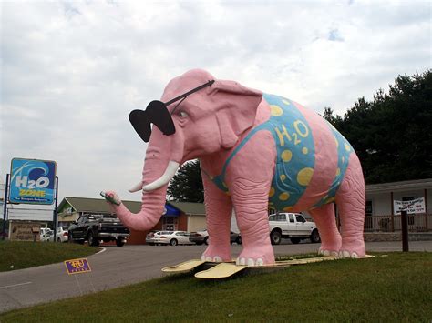 If You See A Pink Elephant In A Bikini It Might Be  Flickr
