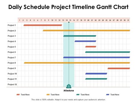 Daily Schedule Project Timeline Gantt Chart Ppt Powerpoint Presentation