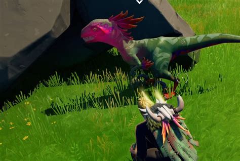 Fortnite Season 6 How To Tame And Ride A Raptor Dinosaurs Update