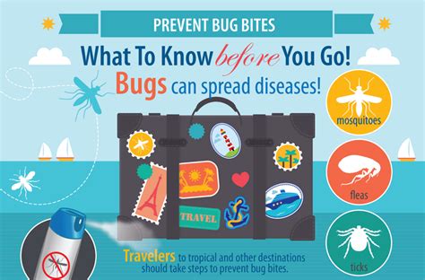 Avoiding Bug Bites Anpc Healthcare And Travel Clinic